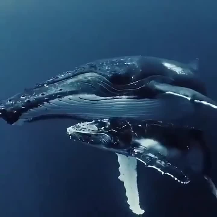 ������� ���� ����� � ���������