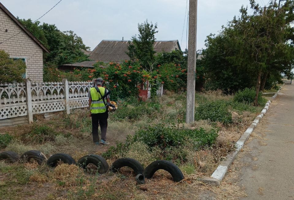 В с Владимировка провели покос сухой