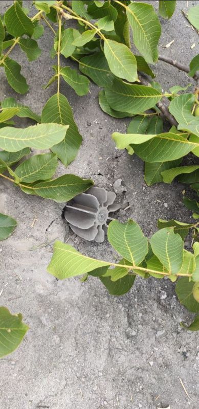 ������� ������� ���������������� ���� �� ����� ��������� � ������ ������� ������������� � ���������