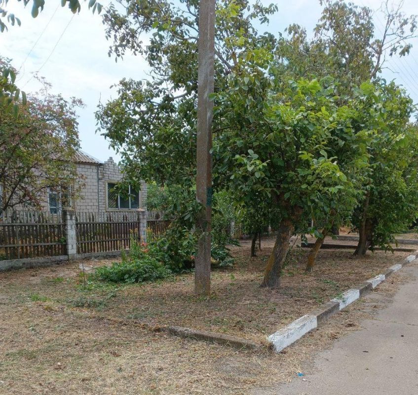 В с Владимировка провели покос сухой травы