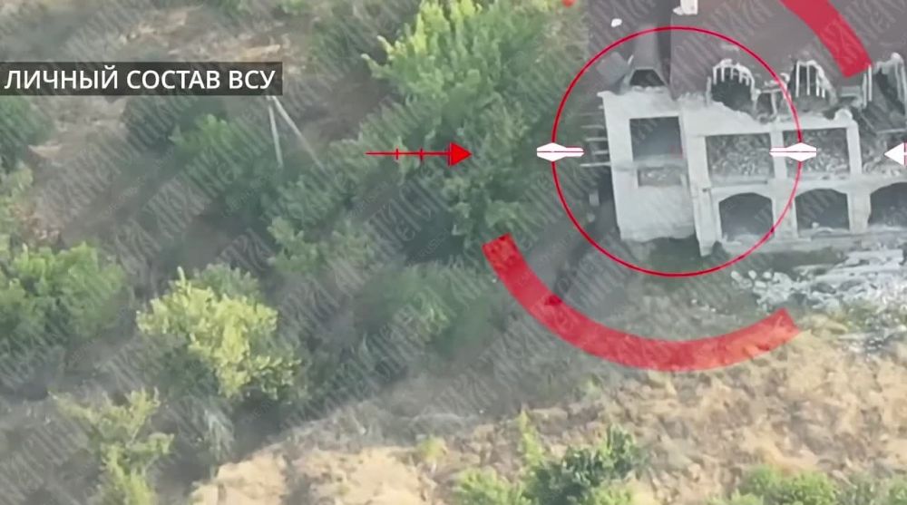 ���������� �����������