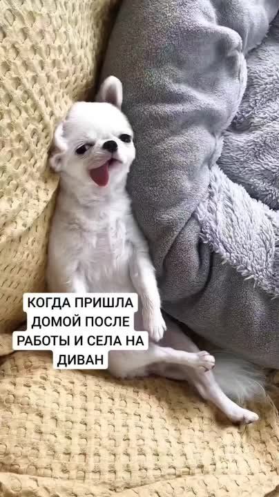 ������� ��������� ����� � �����������, ������� ����� � ���� ������������ ������