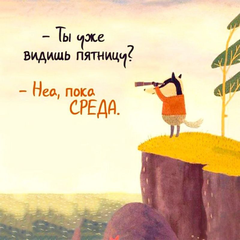 #������������