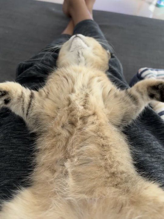 ��������� ����!. ��������-����� ���������� �������