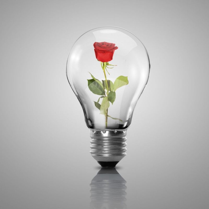 � ���������� ������� ������������� ������ �������� �������������