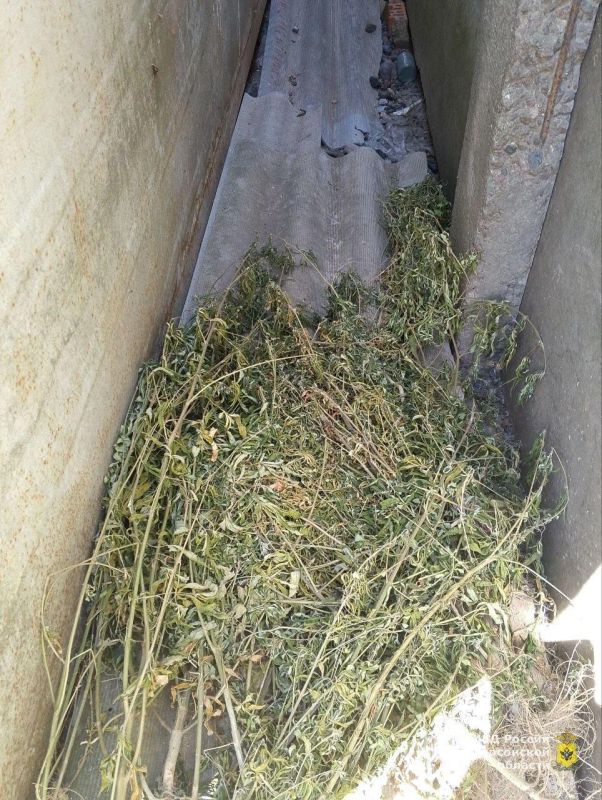 � ���������� ������� ���������� ������� ������ ��������� � �������� ������