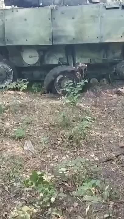 ������������ ���������� ���������������� KTO Rosomak ��������� ������������