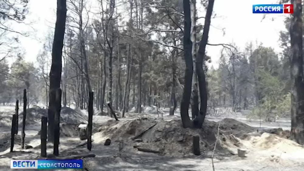 ���������� ���� ������������ ������ ��� ����������� �� ���������� ����������� �������� � ��������������� ����������