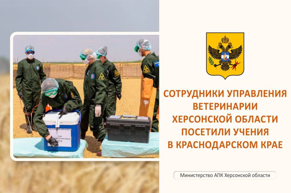 � ������������� ���� ������ ������ � ������� �����������