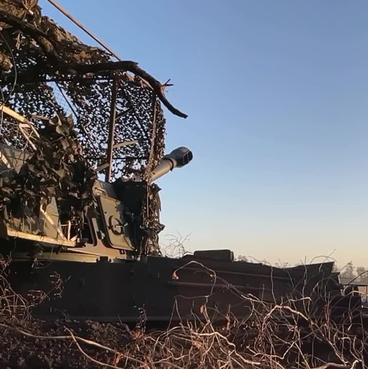 ������ ��� 2�3 "������" �� �������� ���������� ��������