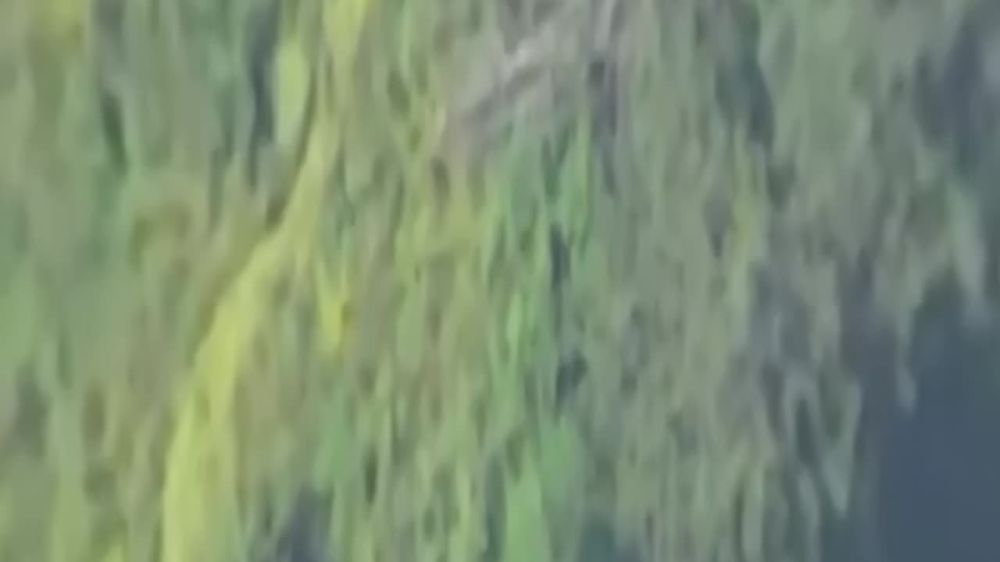 ���� �� �������: ��������� ������������, �� �� ���� ������ � ��������� ������