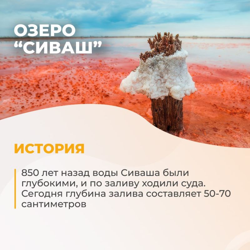 ����� �����: ������� ������ ���������� �������