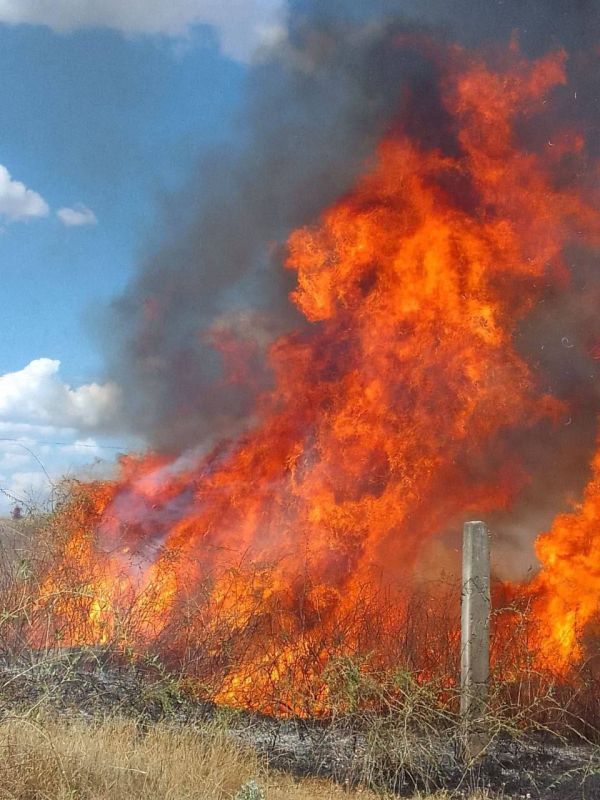 ������� ��������� ������ ������� ���� �� ������� ��������