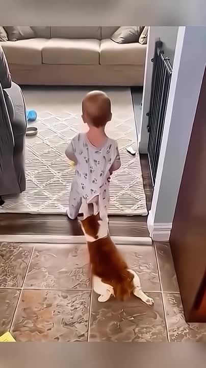 ������ ��� � �����