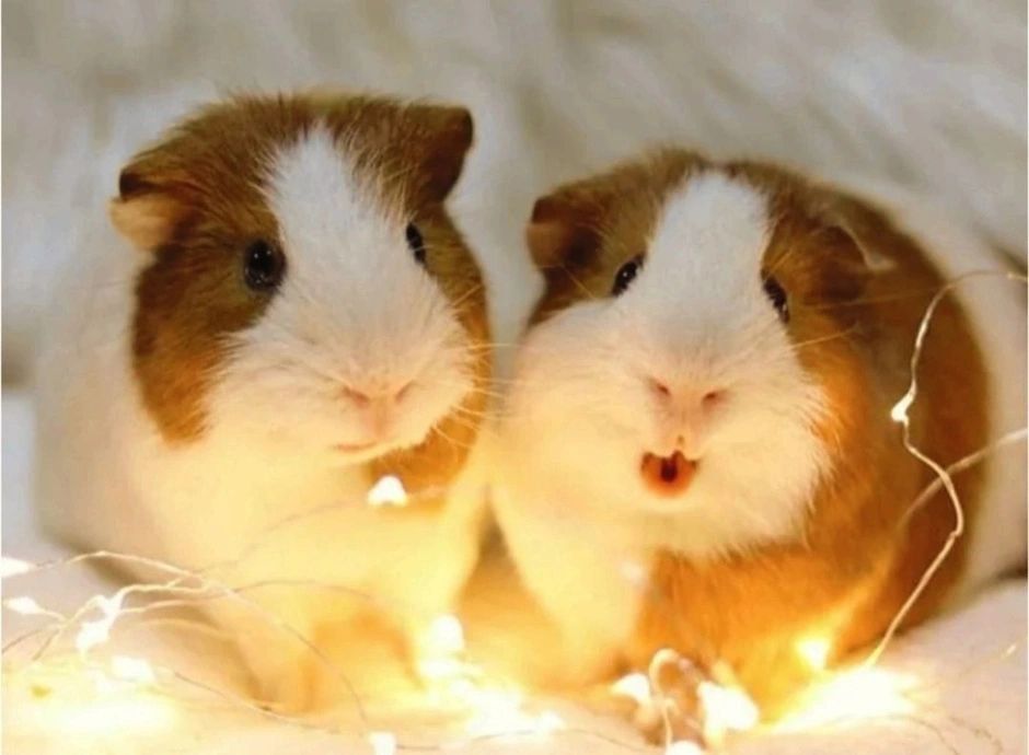 �������� ������� �����������!