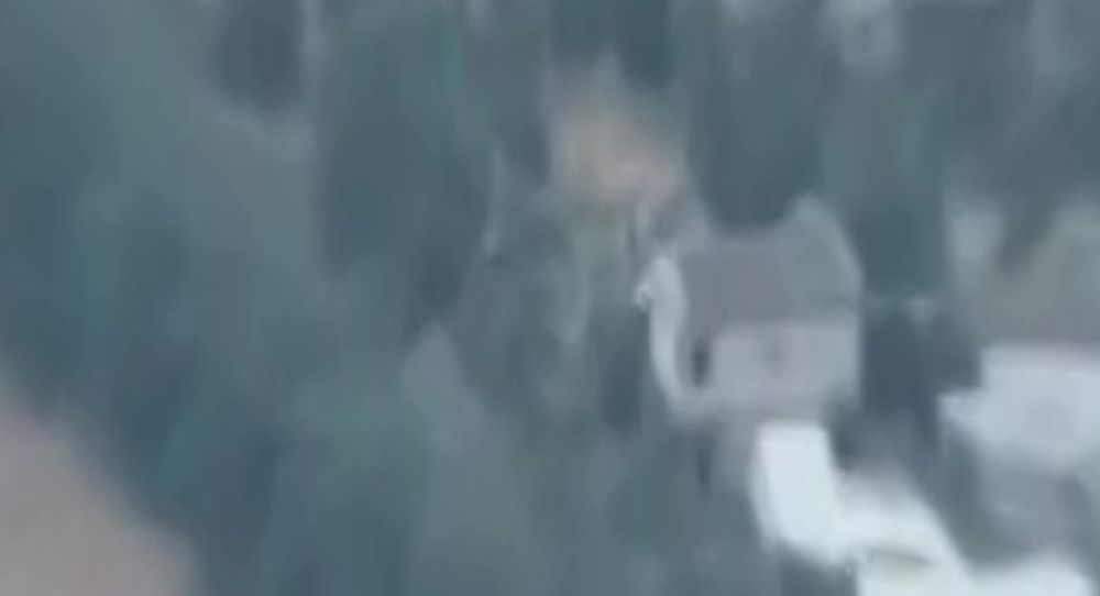 ���� �� �������: �� �������� ��������� "����� �������"