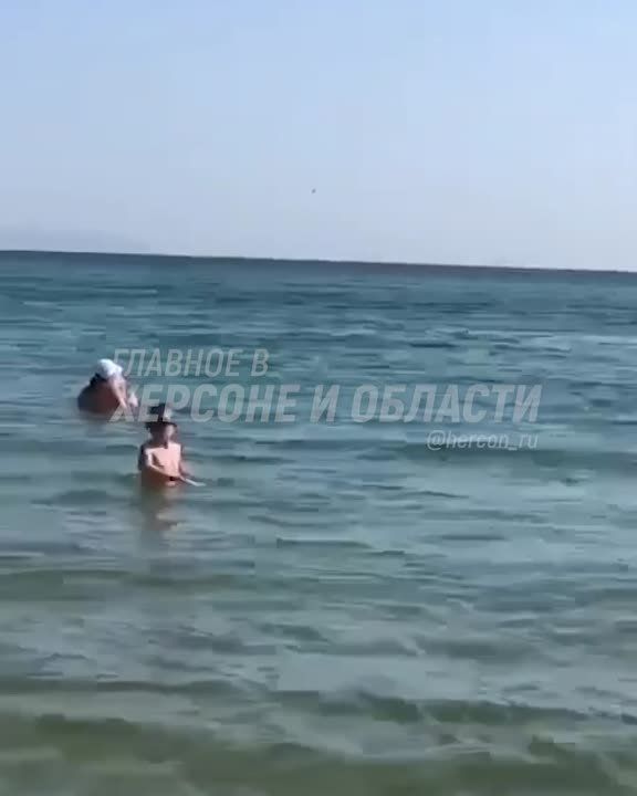 �������� �������� � ���������� � �������� ���� � �������� � ���������� �������� � ������� � ������� ��������� �������