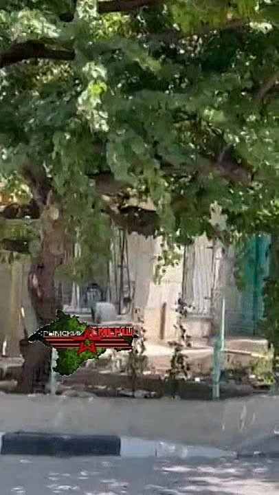 �������� ������������, ������� ������� ���� ��������, ��������� ���������� � ���