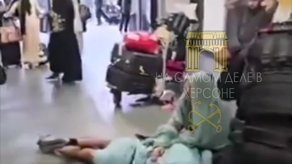 "������������". ���������� � ��������� ����������