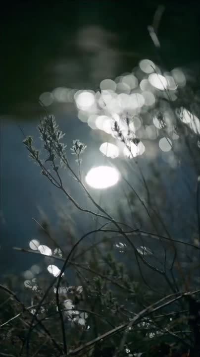 �������� ����������