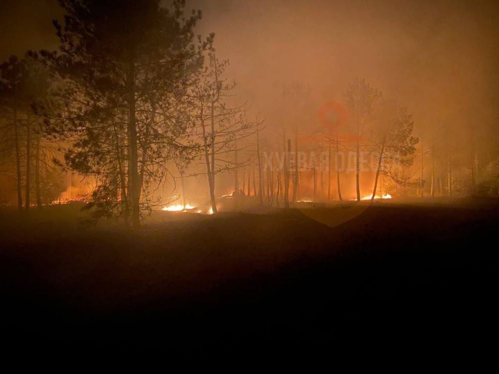 ������ �� � ������� �������� ������� � ������������ �������� ������� ����������� ��������