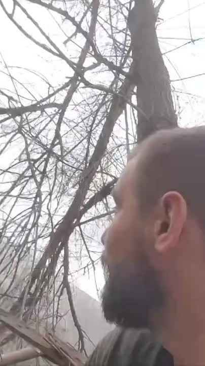 ������ �� ���������� ��������� ������