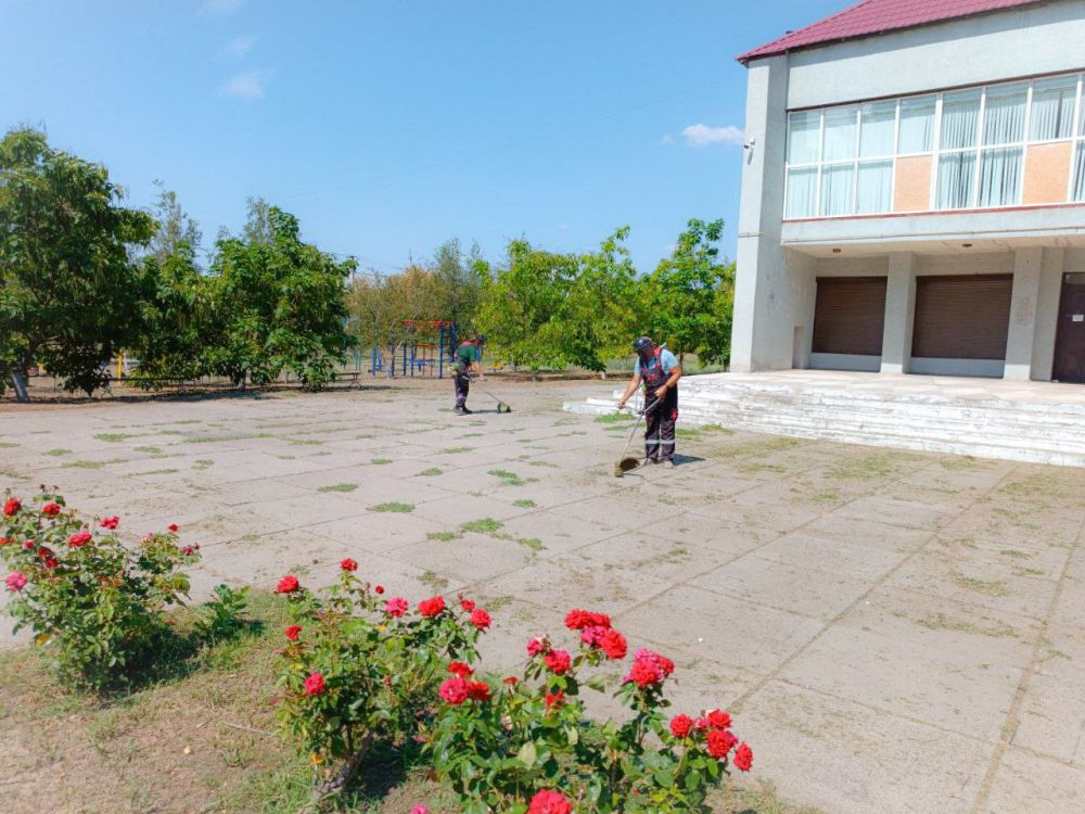 ������������� ����������� ����������� �� �����