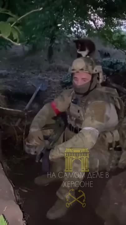 ���� ����� �� ���������. �������� ���������� ����� ����������� ������� � ���������� ������� ��� ���������� �� �����������