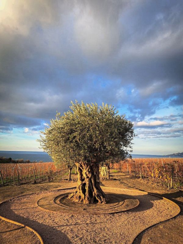 ����� � �����: ������ ��������, ����, ���������� � ������