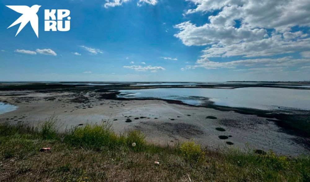 � ���������� ������� 25 ���� ����� ��������, �������� �����