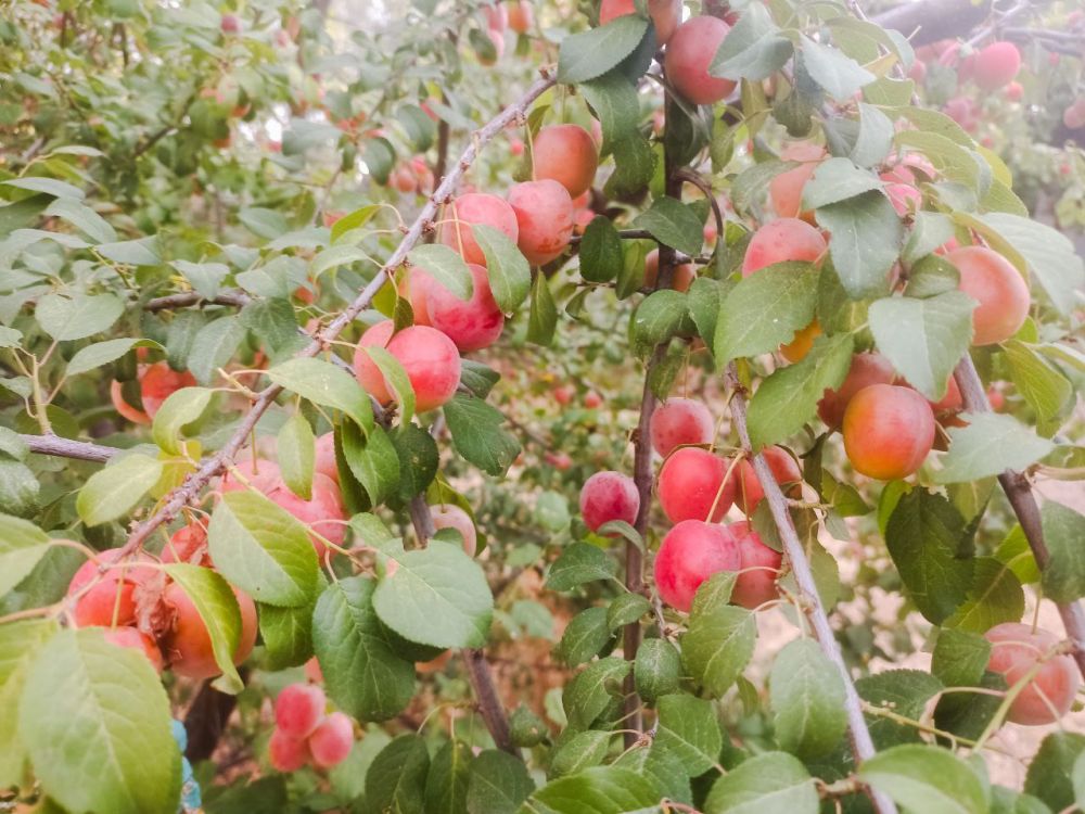 � ������ �����, �����������!