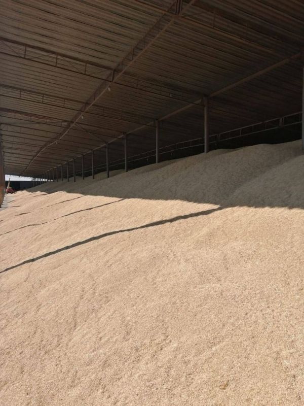 ����� ��������������� ����������� ����������������� � ���������� � ����������� ������� �������� 175 ������� �������������� �������������� �����