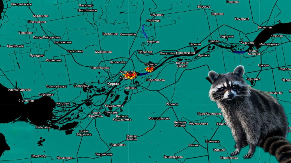 ���� �� �������: ������ ����! �� � ���������!