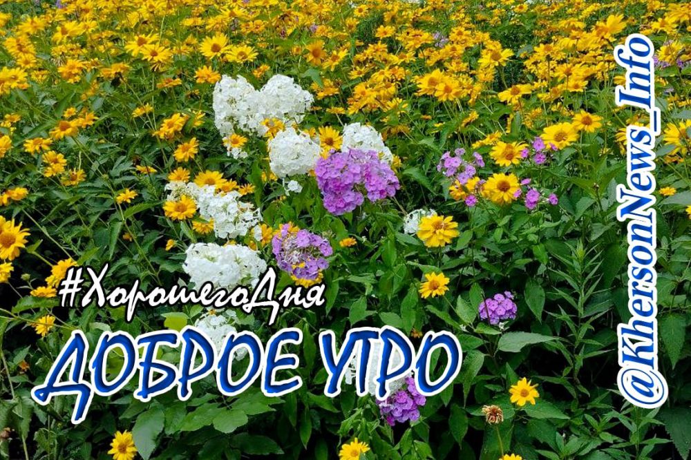 ������ ����, ������!. �������... ����������� �� ��� ��� � ������������ ��������. ����� ���� ������� � ��������� ����� ���...