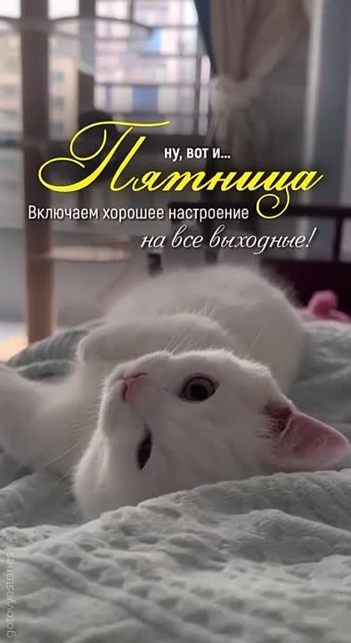 #������� #������������