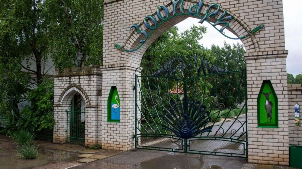 ������-���� � ����� ���������� �������� � "�������-����" - �������� ������