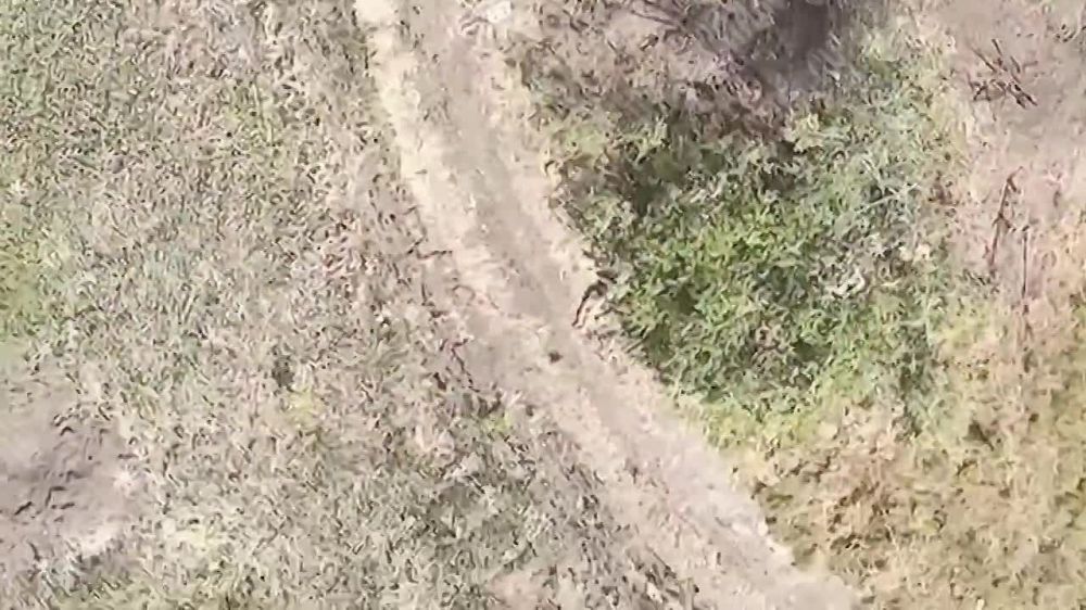 ��������� ���� ������ ���������� ����� ���.