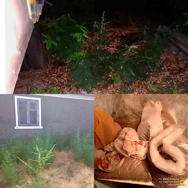 � ������� ������ ���������������� ������ ����������� ���������� 116 ������ ������� � ������� ������ �� 15 ��� ������� �������