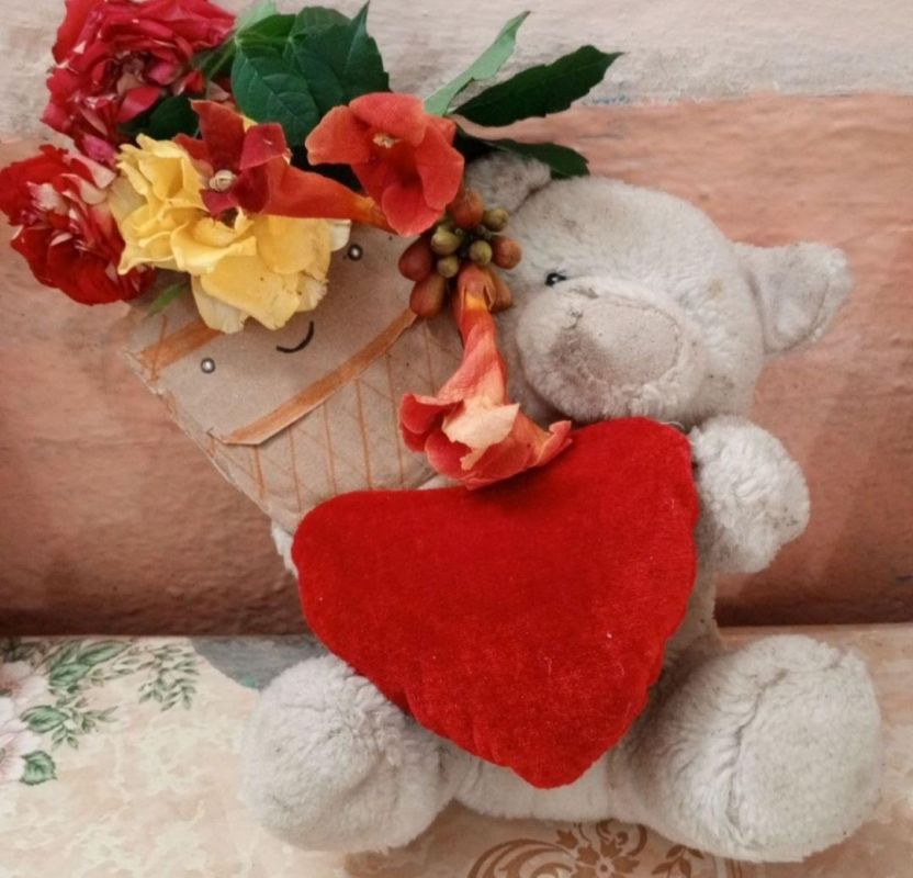 ����� - �������� �����������