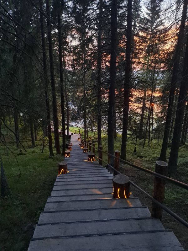 ���������� �������. �������� �������, ��������� ������ ������ ����