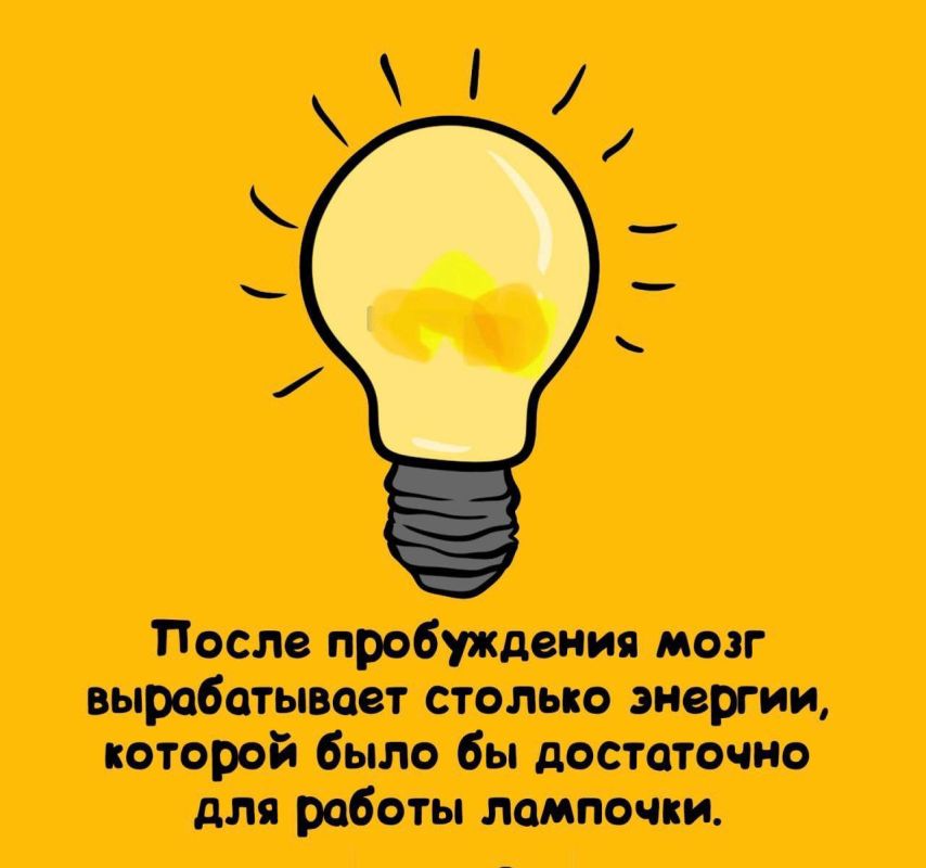 ������� ���� �������� � ������! ������� ������������� ���� �������!