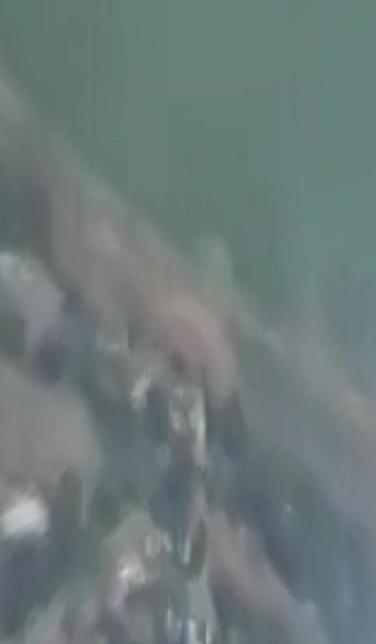 ���� �� �������: ���������� �����������. ����������� �������� ������� ���������� ����� ������ ����� ����������. ������...