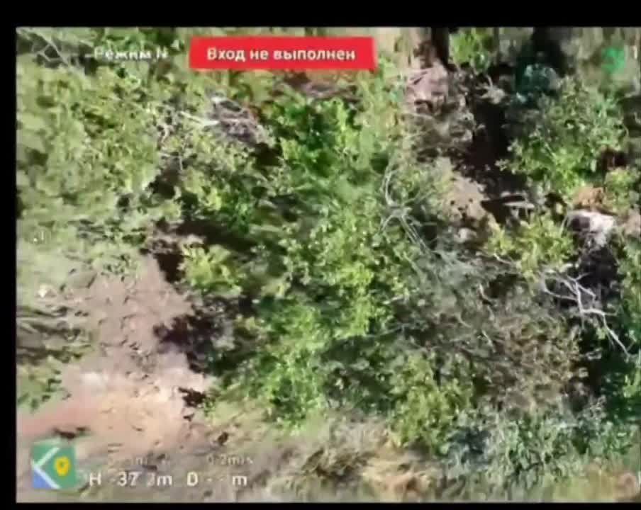 ����������� ������ ��������������� ���������� � ���� �� ����������� ���������������