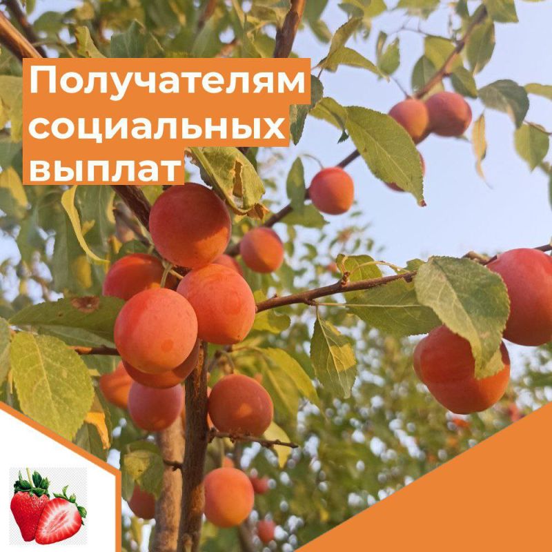 ��������� ���������� ���������� ������!