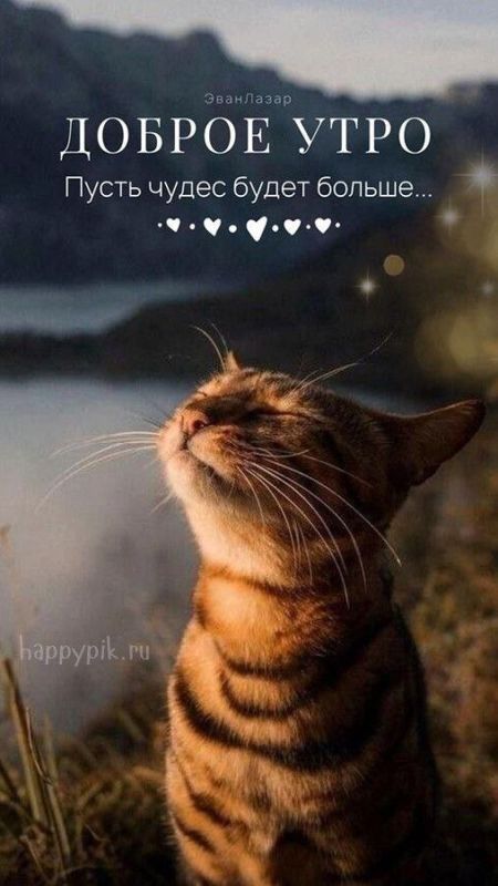 ������ ����. ������� �� ���������� ����� ��� ���� � ������� ����� ������� ��������. ��� �������. ����������� �� +20 ����� �� +29 ���