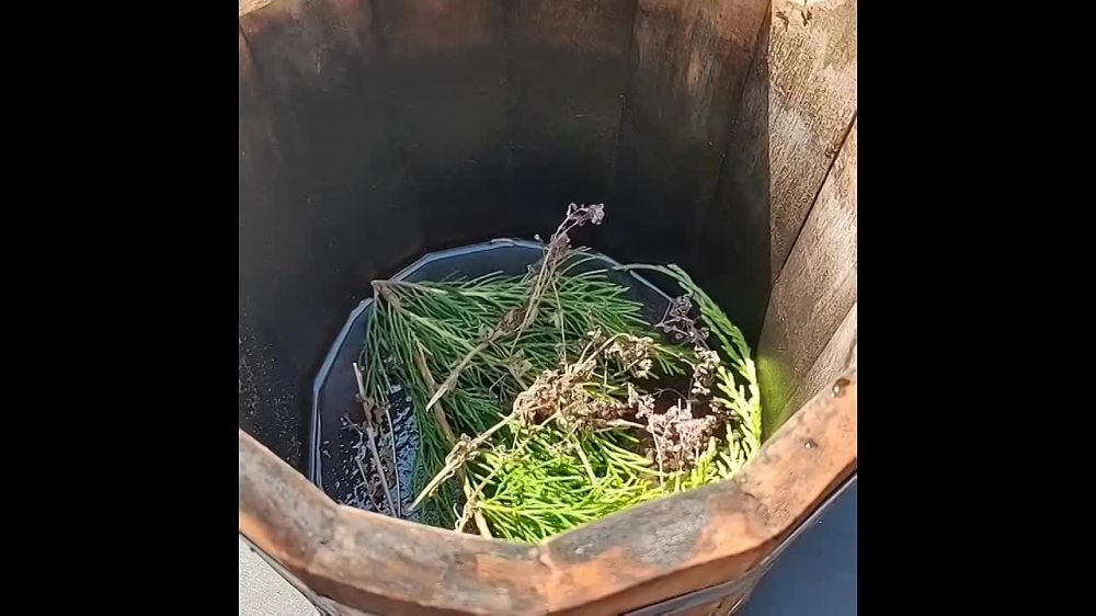 ����� ����������: ���� - ���� ��������� �� ����!