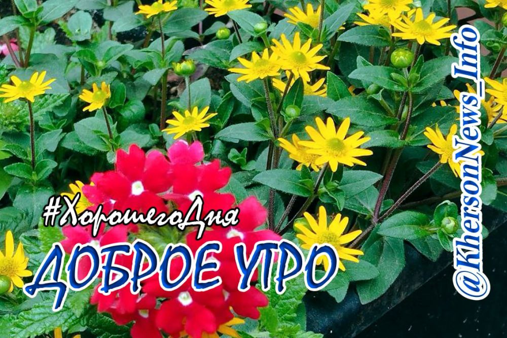 ������ ���� �������, ������!