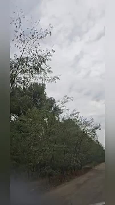 - ׸ �����?!. - ��������, ���� �������