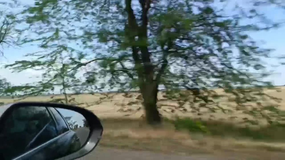 ������ ���� � ��������� ���������� �������