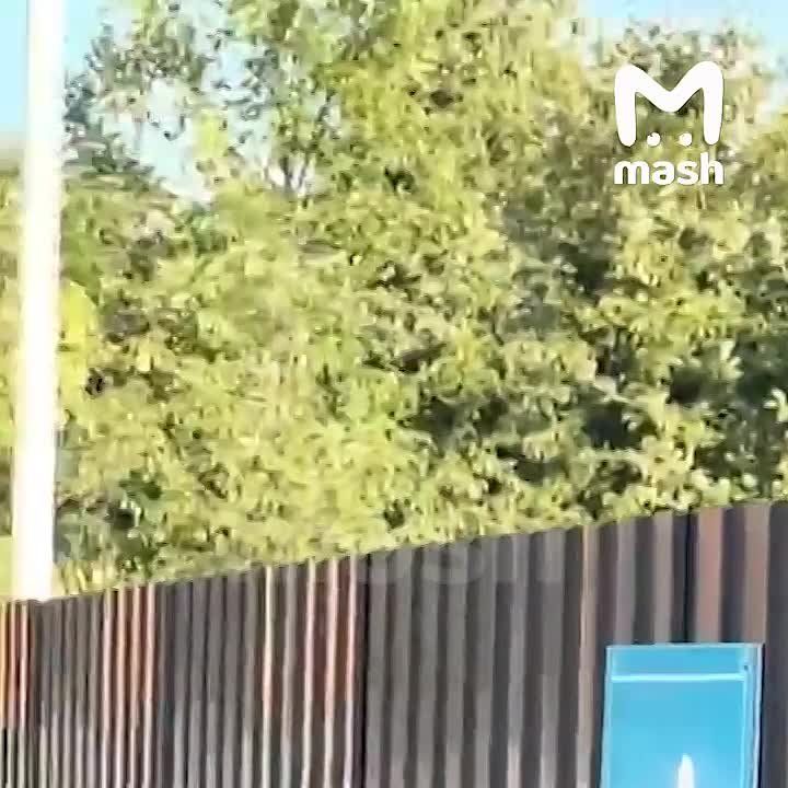 � ���������� ����� ����� ���������� � ���� ���������� ����, ����������� ������